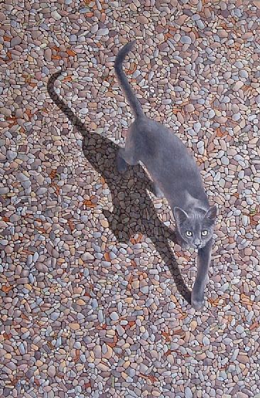 CATWALK - Cats by J. Sharkey Thomas