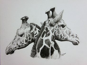 Giraffe Study - Giraffe by Len Rusin
