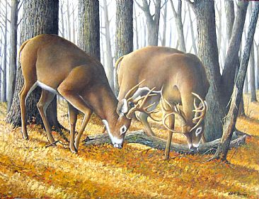 The Challenge - whitetail deer by Len Rusin