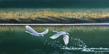 Double Take Off - Swan by Len Rusin