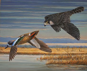 Hot Pursuit - Peregrine Falcon and Blue Wing Teal by Len Rusin