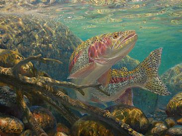 AT THE LAST SECOND - Rainbow Trout by Mark Susinno