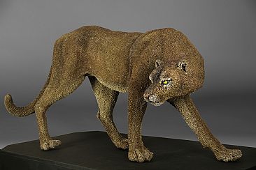 Florida Panther - Florida Panther by Mary Taylor