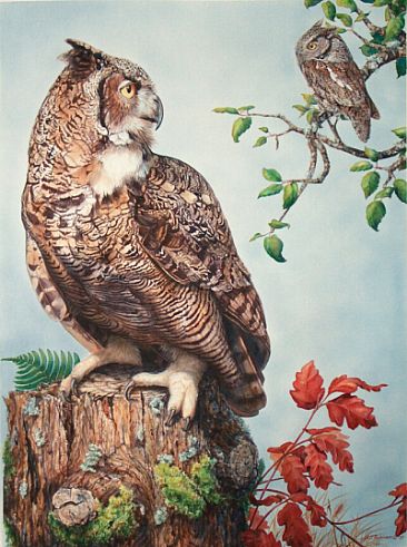 Eye to Eye - Great Horned Owl & Western Screech Owl by Linda Parkinson