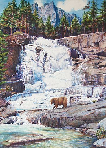 Canyon Creek Falls - Canyon Creek Falls, Trinity Alps, Black bear, Redtail Hawk by Linda Parkinson