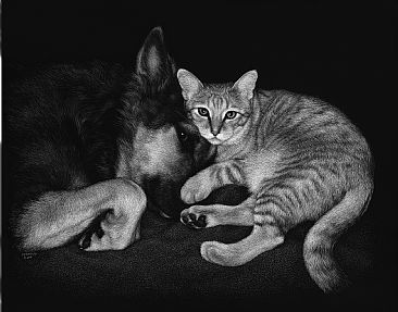 Phoenix and His Favorite Dog, Samson - Domestic dog and cat by Diane Versteeg