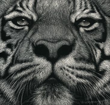 Tigerlily - Tiger by Diane Versteeg