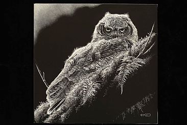 Last Light ll - Juvenile Great-Horned Owl by Kathleen  Dunn