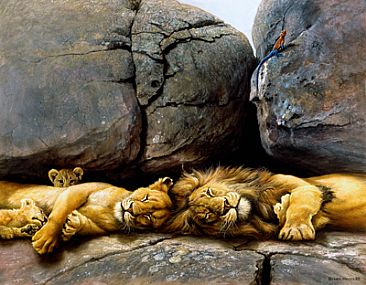 Lions at Rest -  by Harro Maass