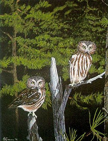 Moonlight Twins - Saw-whet Owls by Herb Simeone