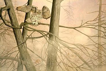 Idaho Dream - Great Grey Owl by Herb Simeone