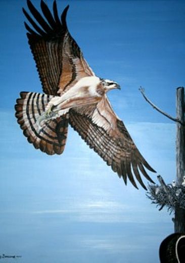 Striper Lunch - Osprey by Herb Simeone