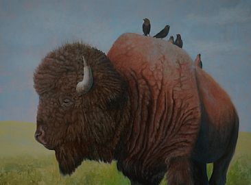 Bison Highway - Bison with cowbirds by Betsy Popp
