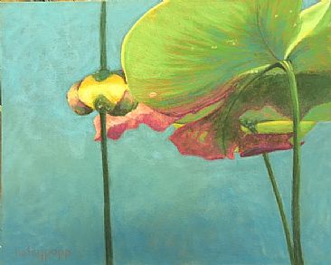 Under The Lilies - Lily Pads by Betsy Popp