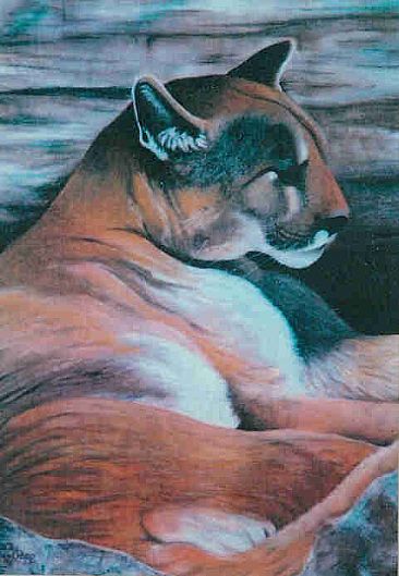 Peaceful Moment - Mountain Lion by Betsy Popp