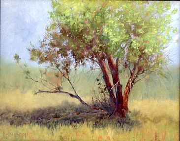 Shadowlands - Landscape Trees by Betsy Popp