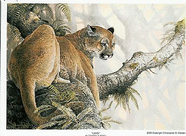 Limbo - Cougar by Christopher Walden