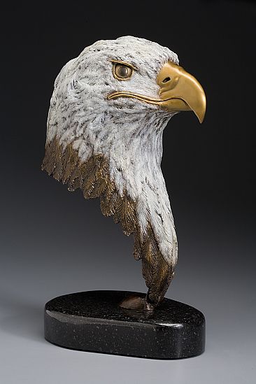 Bald Eagle - birds of prey by Brent Cooke