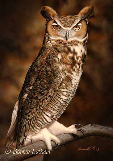 Lofty Perch  - Great Horned Owl by Bonnie Latham