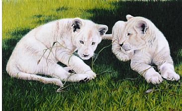 Quiet Time - White Lion cubs (endangered) by Sandra Temple