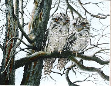 Just Us Trees - Tawny Frogmouths by Sandra Temple