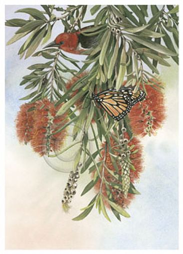 Garden Secrets - Scarlet Honeyeater and Monarch Butterfly by Sandra Temple