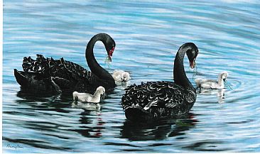 Family Outing - Black Swans and cygnets (protected) by Sandra Temple