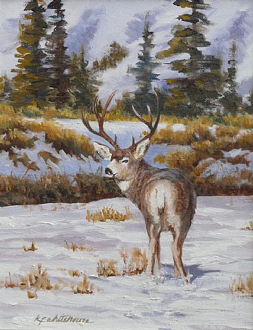 Buck Lookin' Back - Mule Deer by Kitty Whitehouse