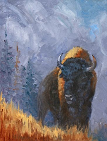 King of the Hill - American Bison by Kitty Whitehouse