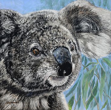 Out of Australia - koala by Debbie Hughbanks