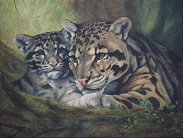 Quan Chua - clouded leopards by Lauren Bissell