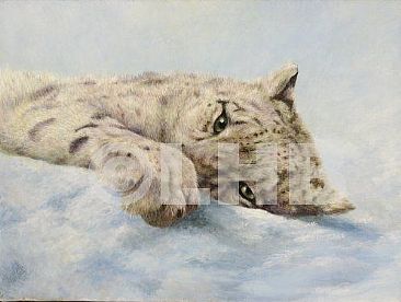 Goodnight Sweetheart - Snow Leopard by Lauren Bissell