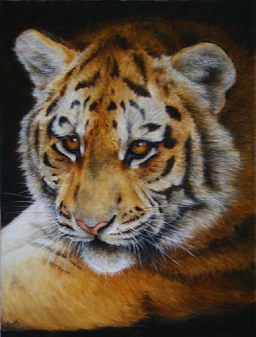 Amur tiger cub -  by Lauren Bissell