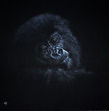 Mountain Gorilla - Mountain Gorilla by Lauren Bissell