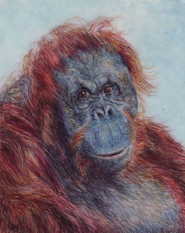 The Bearded Lady - orangutan by Lauren Bissell