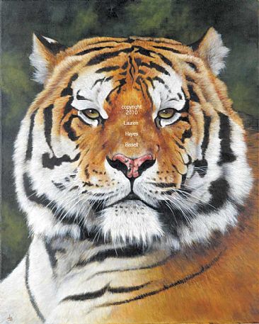 The Czarevich - Amur Tiger by Lauren Bissell