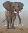 Nature Art supporting Elephants Without Borders