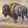 Nature Art - Wildlife Art - Moose Elk Deee goat ram bighorn sheep bison