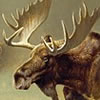 Nature Art - Wildlife Art - Moose
